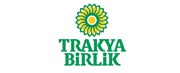 Biga Yağlı Tohumlar